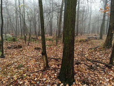 Land/Lot.