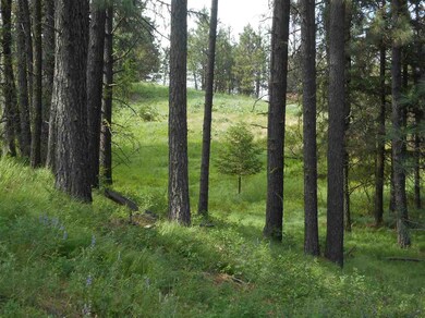 3710 W Crandall Ln, Spokane, WA 99208 - photo 2