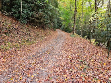 14b Lot Pennington Branch Rd, Damascus, VA 24236 - photo 4