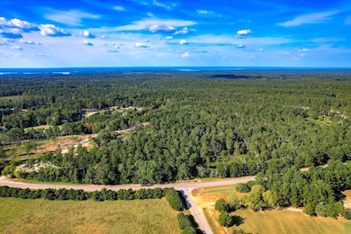 6345 Cobbham Rd, Appling, GA 30802 - photo 2