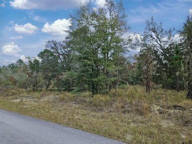 1281 SW Viburnum Rd, Dunnellon, FL 34431 - photo 4