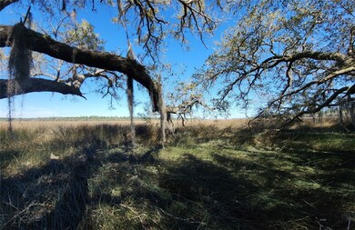 view from lot..over 3acres