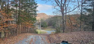 1328 Highway 310, Englewood, TN 37329 - photo 5