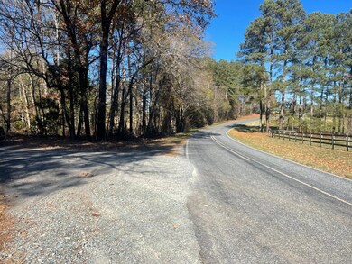 395 Mt Vernon Hcry Mt Rd, Siler City, NC 27344 - photo 5