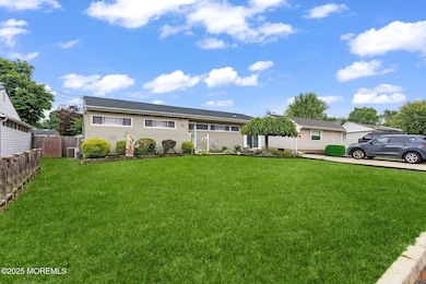 3-web-or-mls-7K8A7644