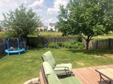 Fenced in back yard.