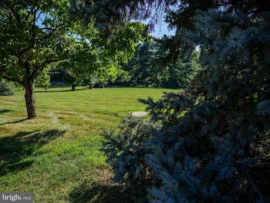 17152 Bridge View Ct, Paeonian Springs, VA 20129 - photo 4
