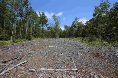 5 Ossipee Mountain Rd unit 49/5, Moultonborough, NH 03254 - photo 7