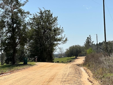 Tract#6410 Davidson Road S - W5 unit 286 +/- AC, Bonifay, FL 32425 - photo 4