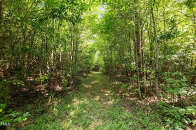 0 Holman Mill Rd unit 10045393, 8, Newlin, NC 27349 - photo 7