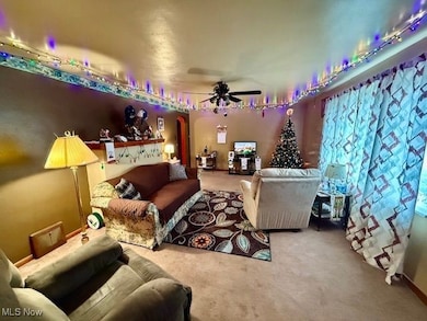 38 Kiefer Way, Weirton, WV 26062 - photo 3