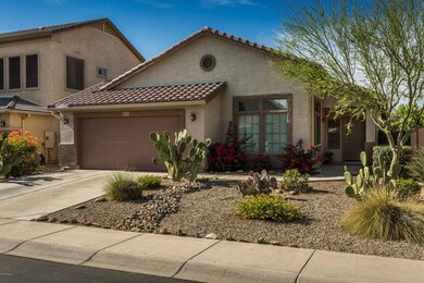 Desert Landscaping