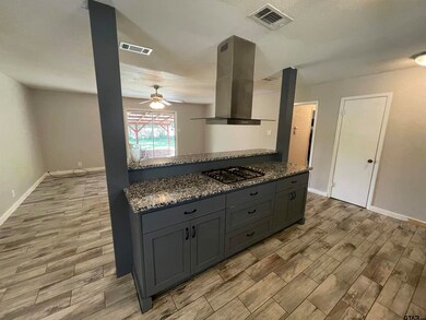 2925 Lisa Ln, Tyler, TX 75701 - photo 2