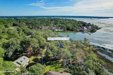 3263 Marsh View Dr, Lockwoods Folly, NC 28462 - photo 6