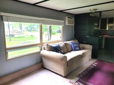 42502 240th St unit 31, Henning, MN 56551 - photo 3