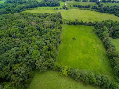 52 AC Johnson Rd, Cookeville, TN 38506 - photo 6