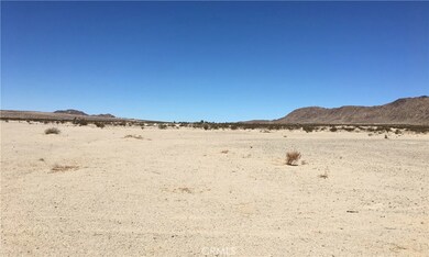 3000 Sunfair Rd, Joshua Tree, CA 92252 - photo 3