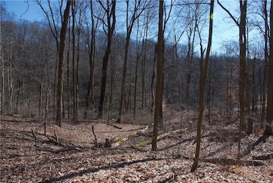 Northern Section ~ conceptual 2nd home site. Wooded area with knolls, sits above Audubon, below Barberry.