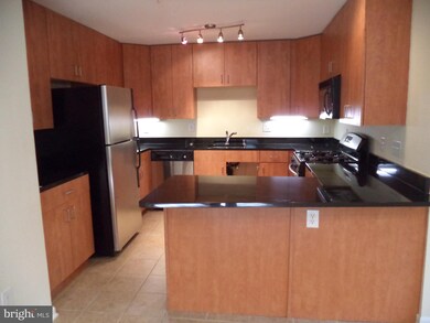 1142 Cove Rd unit 201, Annapolis, MD 21403 - photo 5