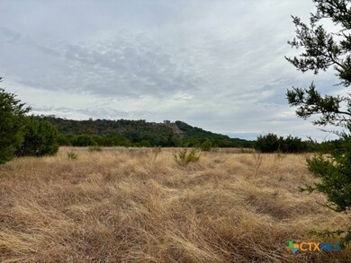 Unassigned County Road 3270, Kempner, TX 76539 - photo 7