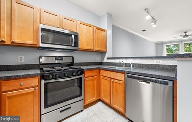 The Savoy unit 232, Reston, VA 20190 - photo 6