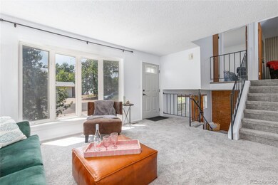 2098 S Pitkin St, Aurora, CO 80013 - photo 4