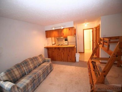 114 S Slope Cir unit 114-1, Banner Elk, NC 28604 - photo 7