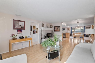 Living - Dining