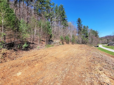 300 Shining Rock Dr unit 25, Canton, NC 28716 - photo 7