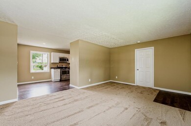 Living Room w/ New Carpet