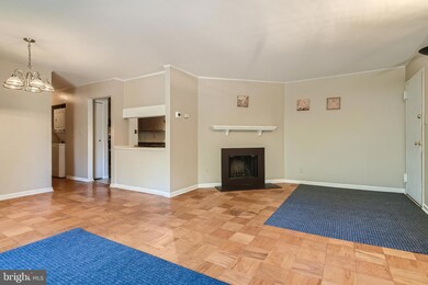 101 Fitz Ct unit 204, Reisterstown, MD 21136 - photo 3