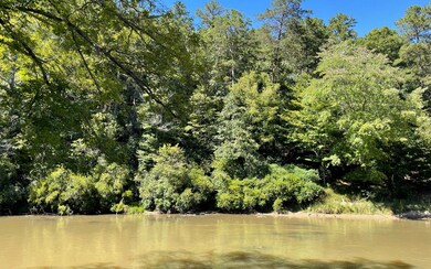 Additional View