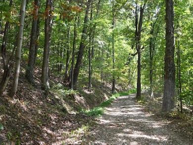 0 Blown Timber Rd, Newton, WV 25266 - photo 3