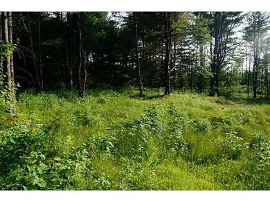 0 Turner Rd, Buckfield, ME 04220 - photo 2