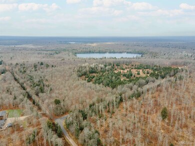 200 Olson Loop, Iron River Township, MI 49935 - photo 6