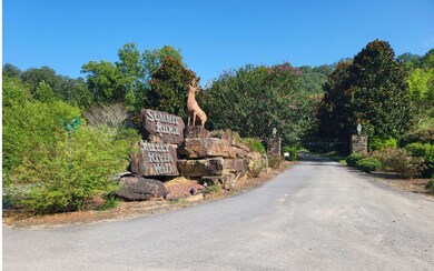 Additional View