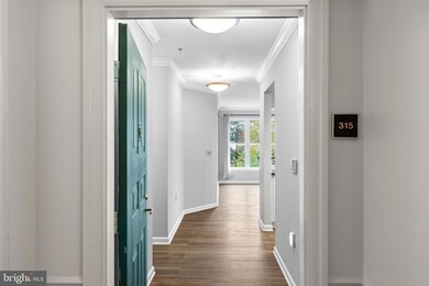 Worldgate Condominium unit 315, Herndon, VA 20170 - photo 2