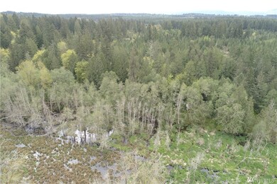 333 Highland Dr E, Roy, WA 98580 - photo 7