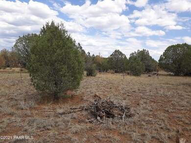 216a Juniperwood Ranch, Ash Fork, AZ 86320 - photo 3