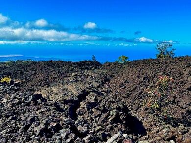 92-8211 King Kalakaua Ln, Ocean View, HI 96704 - photo 5