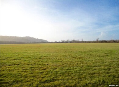 38480 Richardson Gap Rd, Scio, OR 97374 - photo 7