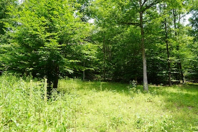 X Brown Hill Rd, Washington Township, IN 47448 - photo 5