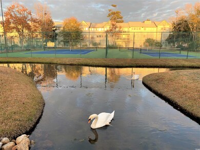 View of tennis court