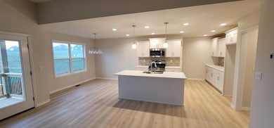 918 S Deerfield Ct, Wilson A Township, MO 65807 - photo 3