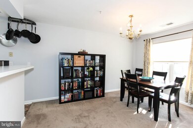 9050 Gracious End Ct unit 202, Columbia, MD 21046 - photo 7