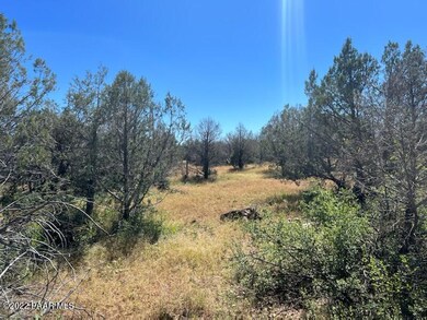 S2 196 Un Named Rd, Ash Fork, AZ 86320 - photo 2