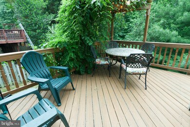 5446 Summer Leaf Ln, Alexandria, VA 22312 - photo 5