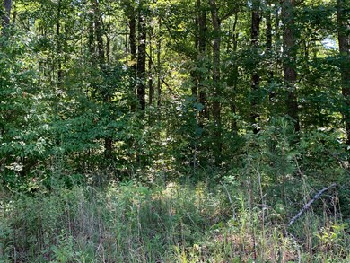 Clear Fork 1