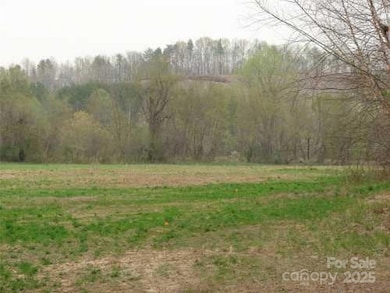 0 S Cross Creek Trail unit 12 CAR4258799, Mill Spring, NC 28756 - photo 2