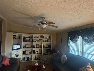 15 Dorough St, Steele, AL 35987 - photo 5